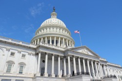 Tallahassee FL Government Contractor Accounting